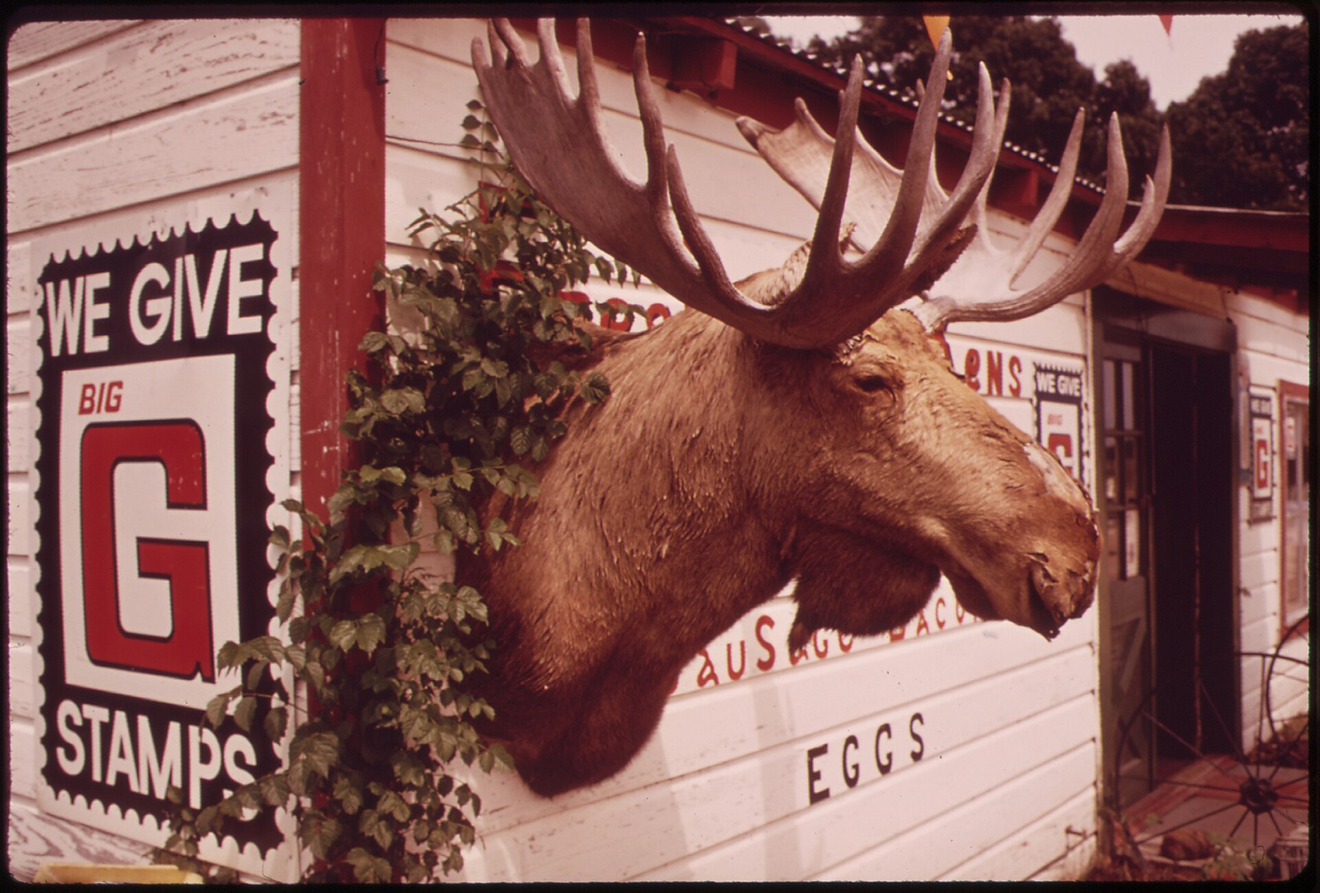STOREFRONT IN BEN WHEELER, ON STATE HIGHWAY 64 BETWEEN DALLAS AND TYLER   NARA   547804